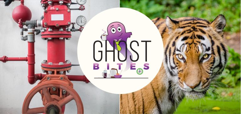 Ghost Bites (Crookes Brothers | Hudaco | Huge Group | Invicta | Momentum Metropolitan | Pepkor | Primeserv | Sirius | Tiger Brands | Trustco)