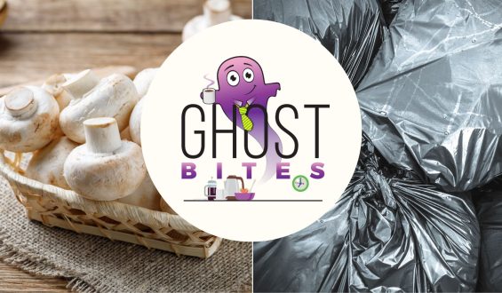 Ghost Bites (Emira + Transcend | Libstar | Sibanye | Transpaco)