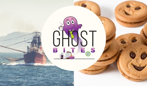 Ghost Bites (African Rainbow Minerals | AVI | Bidvest | Brimstone | Cognition | MAS | Nampak | Naspers + Prosus | PPC | RCL Foods | Sea Harvest)