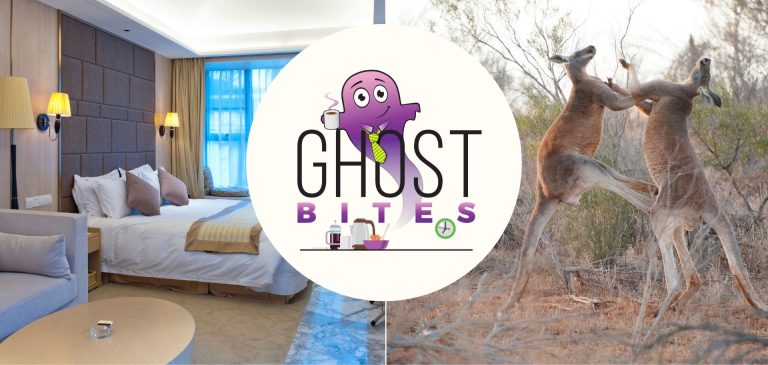 Ghost Bites (Bidvest | Hyprop | PPC | Southern Sun)