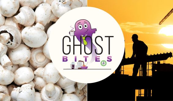 Ghost Bites (Brikor | Discovery | Kore Potash | Libstar | Stefanutti Stocks | WBHO)