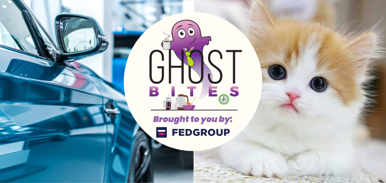 Ghost Bites (Schroder | Southern Palladium | Spear REIT | Transaction Capital – WeBuyCars | Woolworths)